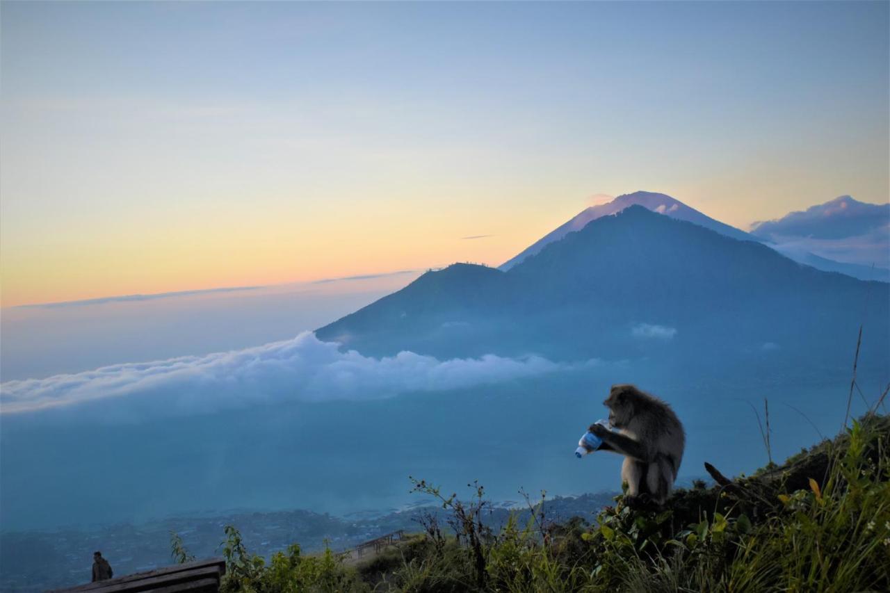 Batur Bamboo Cabin By Ecommerceloka Kintamani エクステリア 写真
